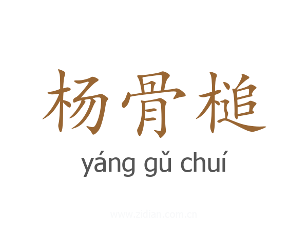 杨骨槌
