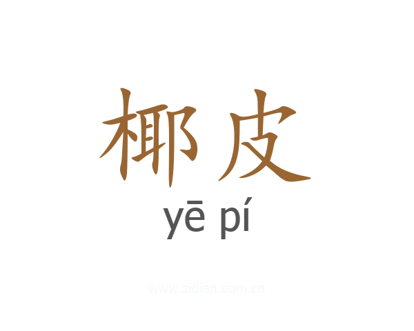 椰皮