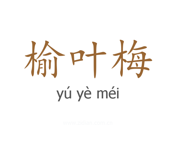 榆叶梅