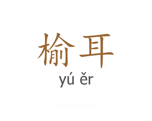 榆耳