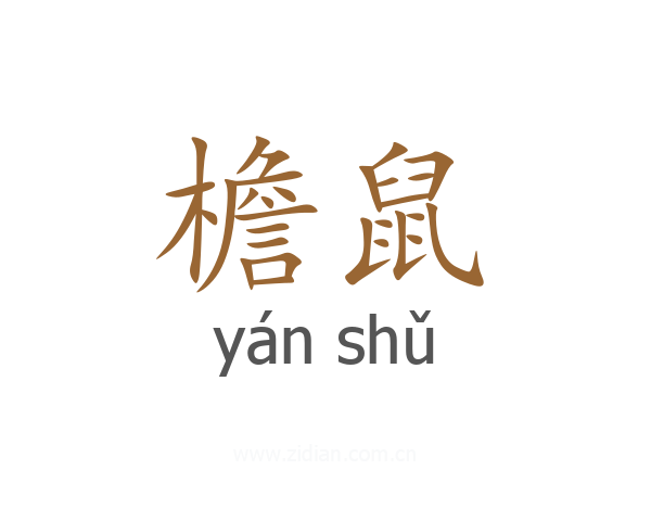 檐鼠