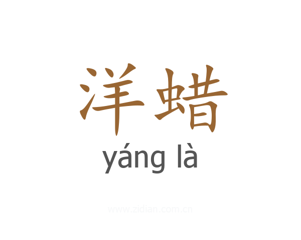 洋蜡
