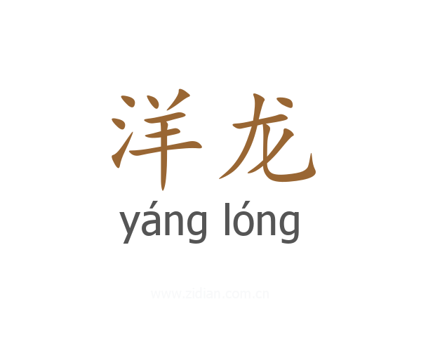 洋龙