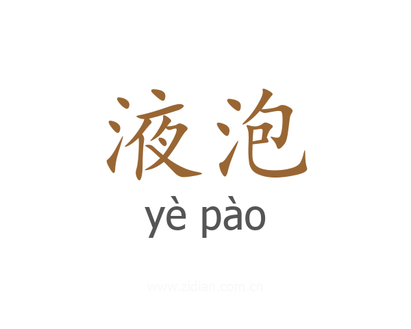 液泡
