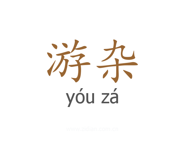 游杂