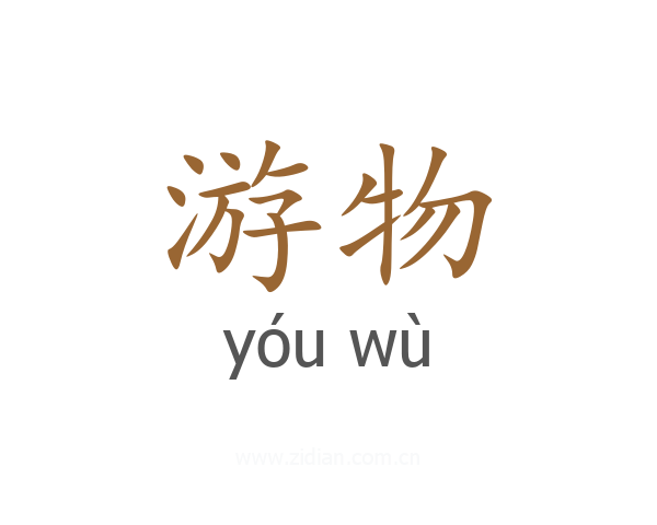 游物