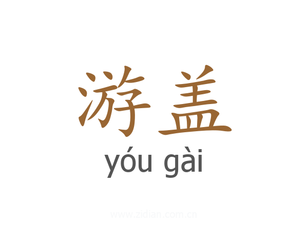 游盖