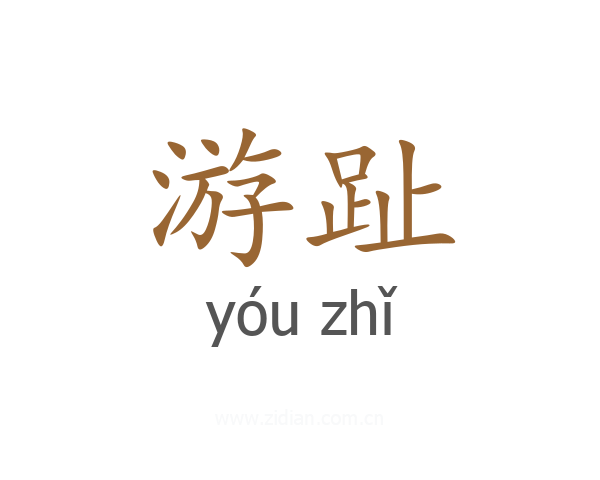 游趾