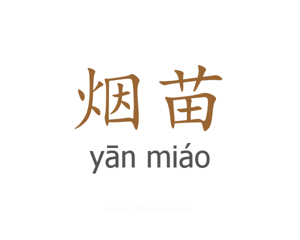 烟苗