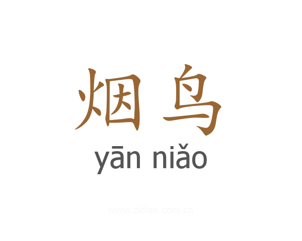 烟鸟