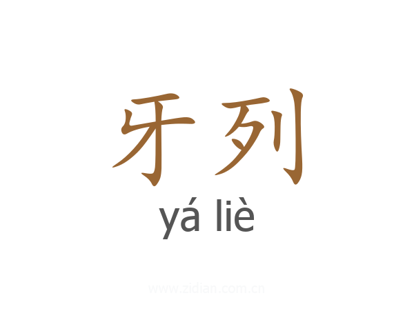 牙列