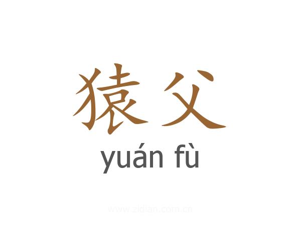 猿父