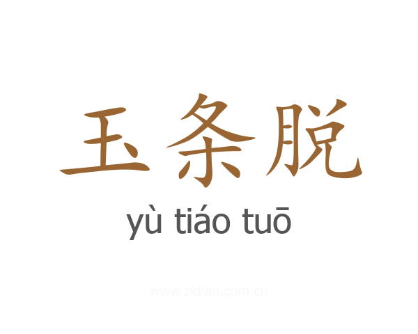 玉条脱