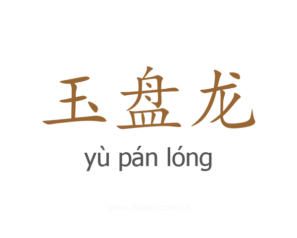玉盘龙