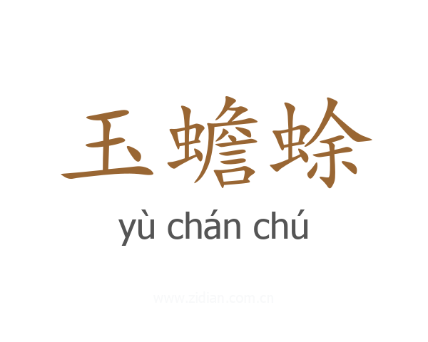 玉蟾蜍