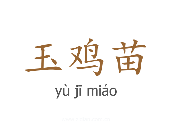 玉鸡苗