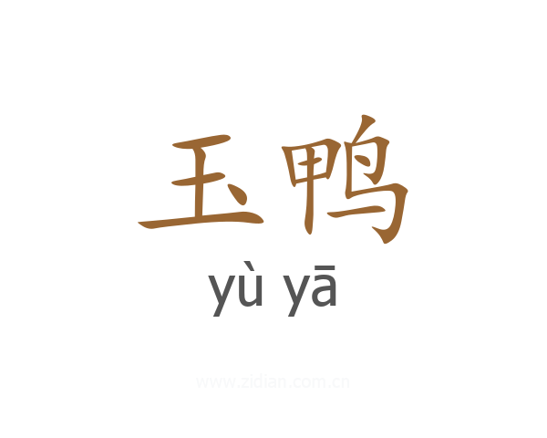 玉鸭