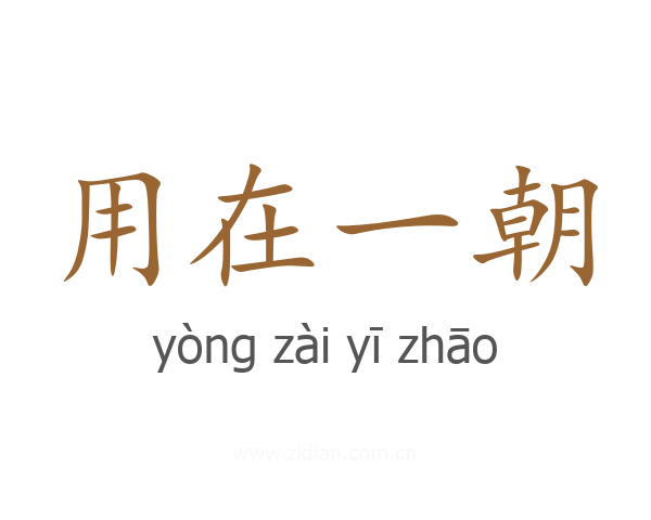 用在一朝
