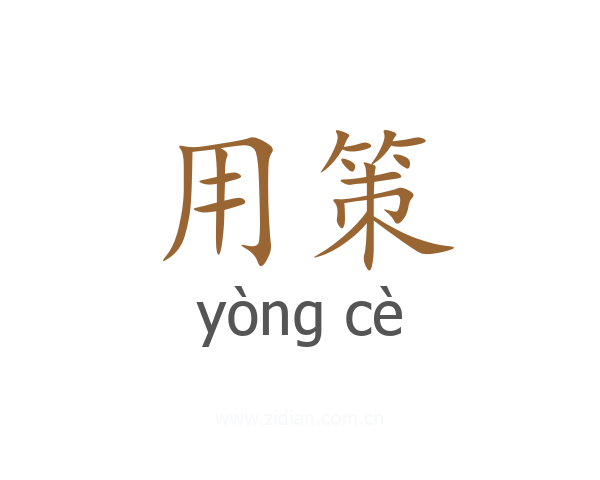 用策