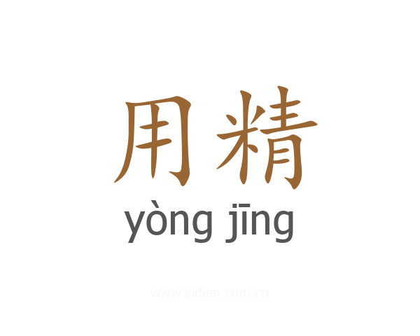 用精