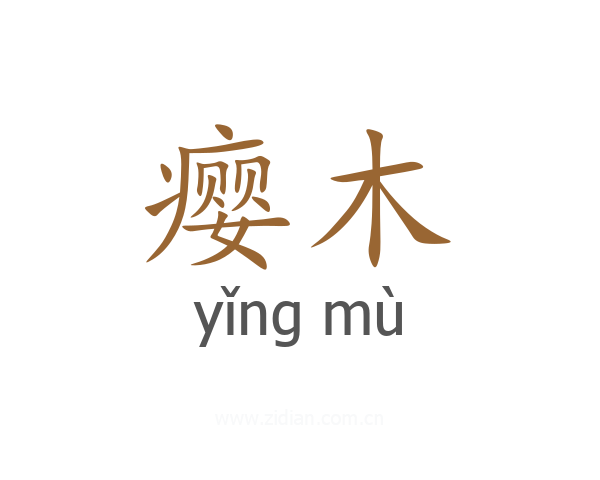 瘿木