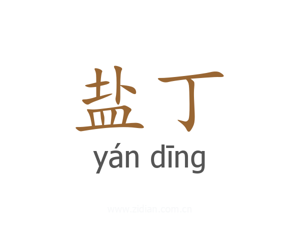 盐丁