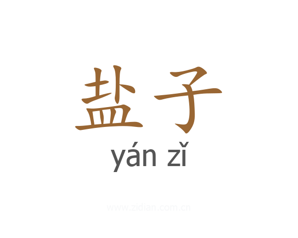 盐子
