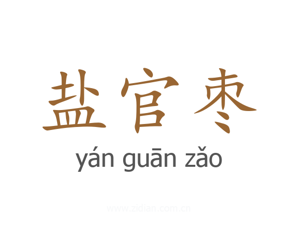 盐官枣