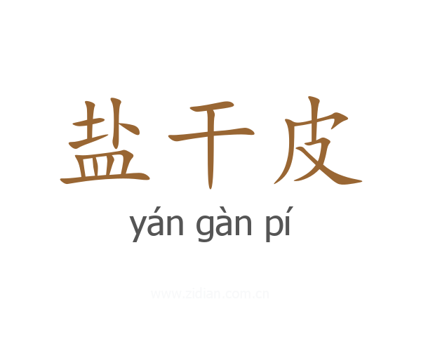 盐干皮
