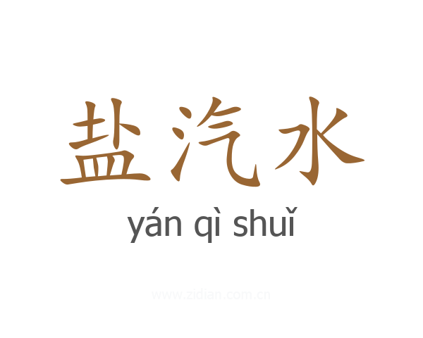 盐汽水