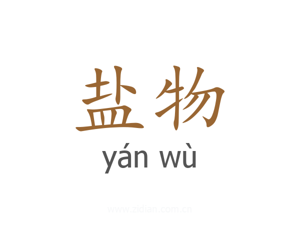 盐物