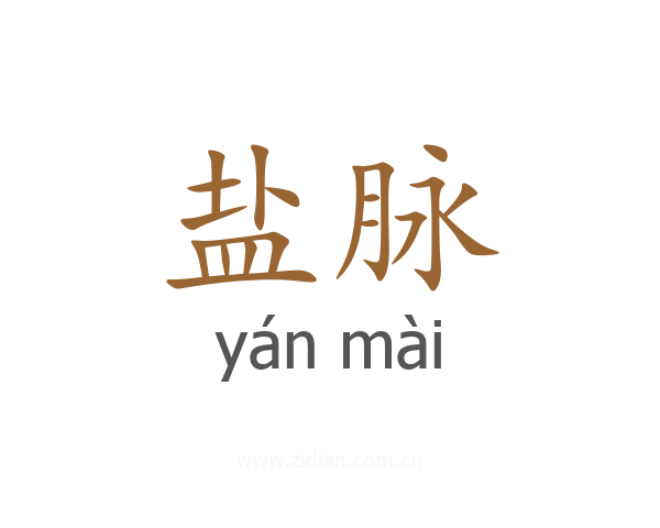 盐脉