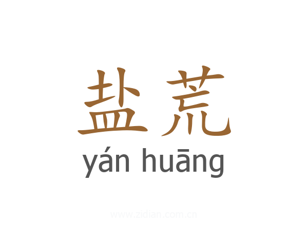 盐荒