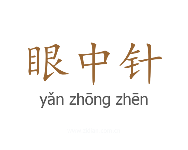 眼中针