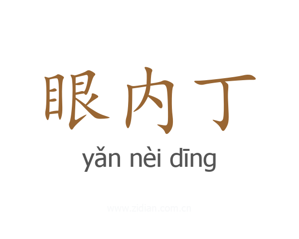 眼内丁