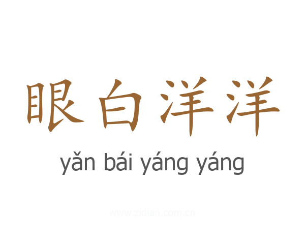 眼白洋洋