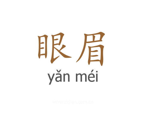 眼眉