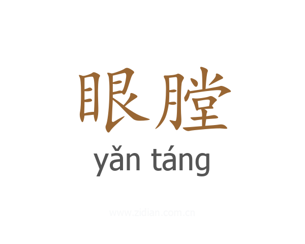 眼膛