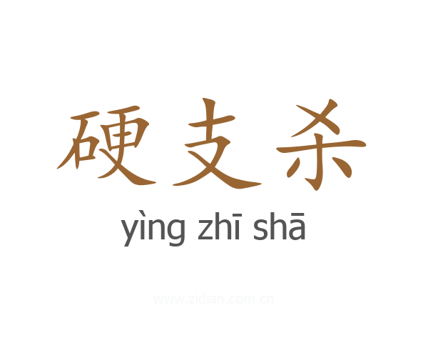 硬支杀