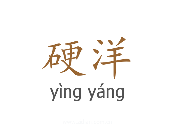 硬洋