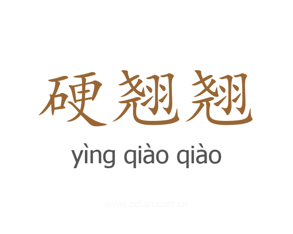 硬翘翘