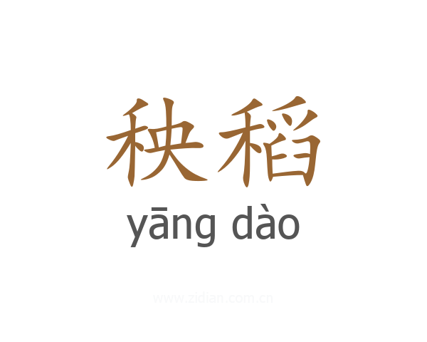 秧稻