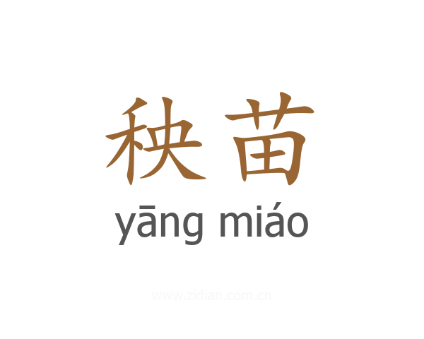 秧苗