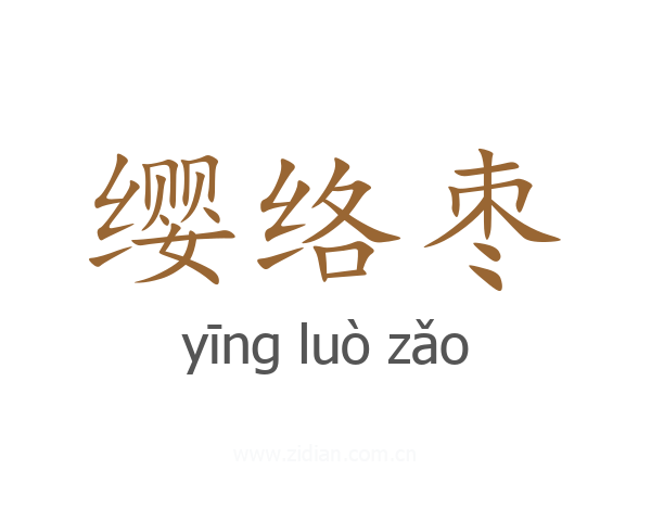 缨络枣