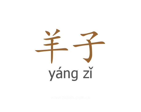 羊子