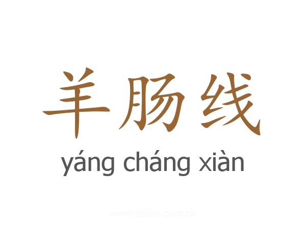 羊肠线