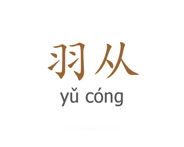 羽从