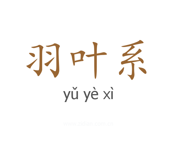 羽叶系