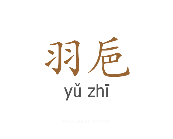 羽巵