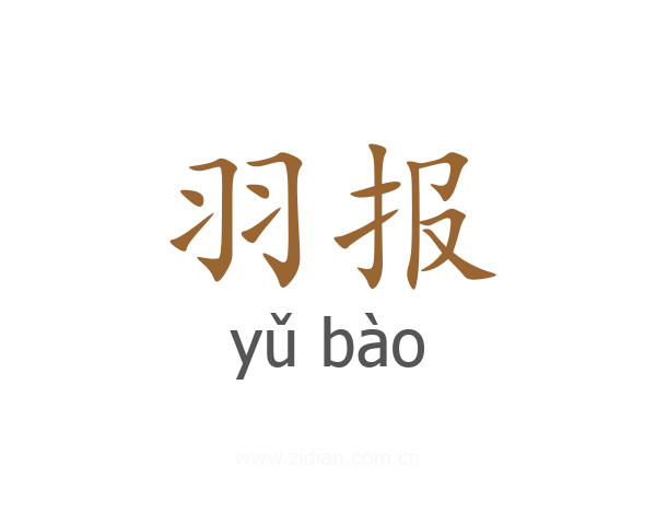 羽报